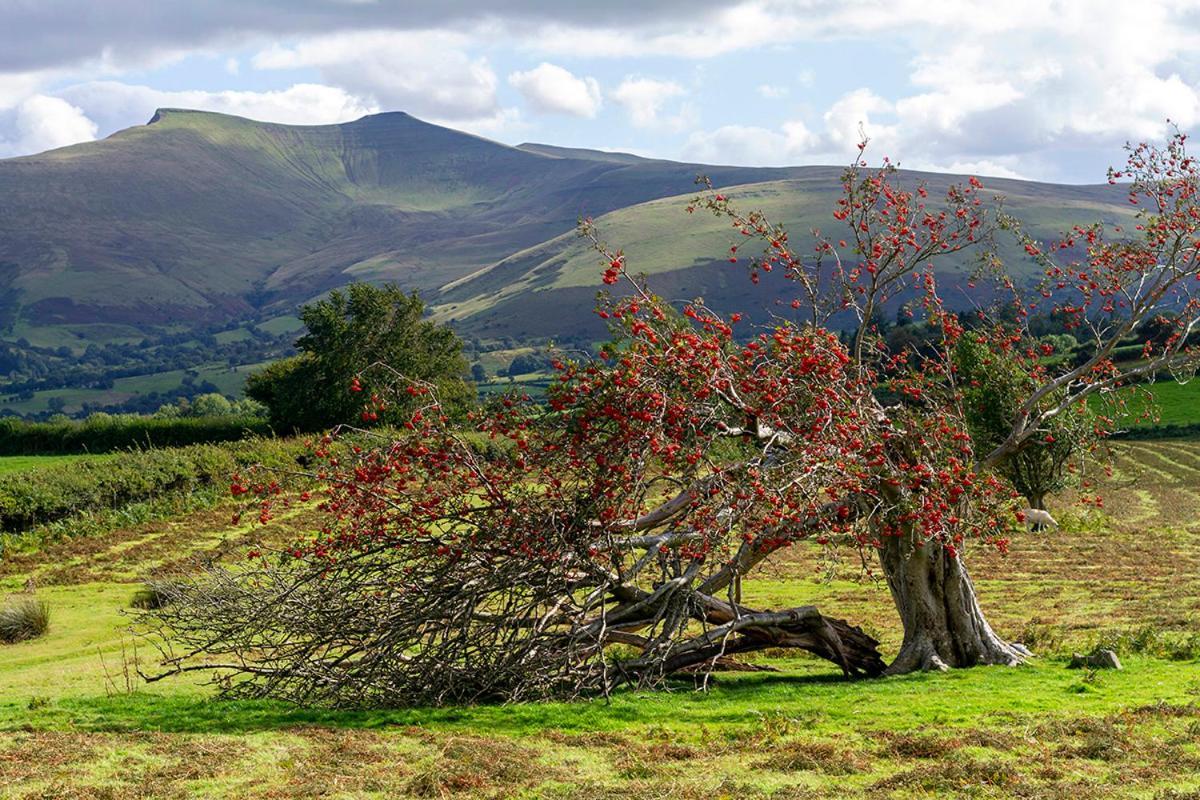 Picturesque 2 Bedroom Miners Cottage Near Bike Park Wales & Brecon Beacons Мертир-Тидвилл Экстерьер фото